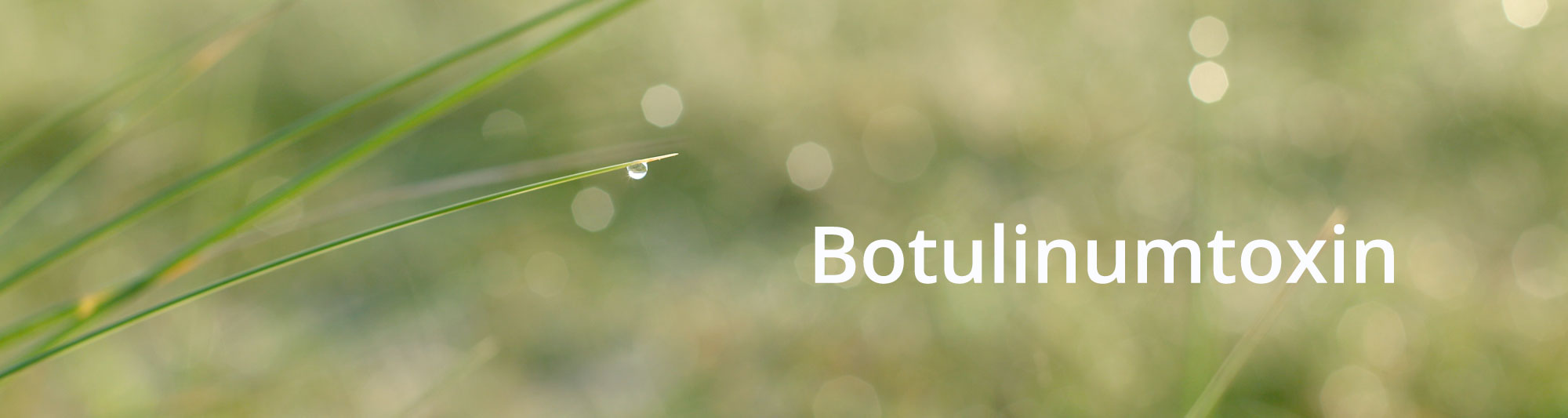 Botox, Botulinum, Botulinumtoxin